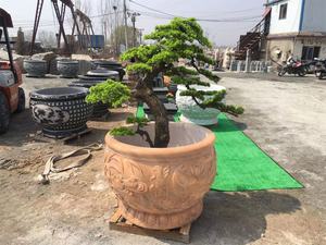 ราคาที่ดีหรูหราหินแกะสลักหินแกรนิตธรรมชาติสีขาวหินอ่อนกระถางดอกไม้ที่มีรูปปั้น - Product Image 4