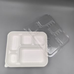 Plateau à déjeuner <span class=keywords><strong>en</strong></span> <span class=keywords><strong>fibre</strong></span> moulée, <span class=keywords><strong>assiette</strong></span> pour restauration rapide, plat à emporter, vaisselle biodégradable <span class=keywords><strong>en</strong></span> pulpe <span class=keywords><strong>de</strong></span> bagasse <span class=keywords><strong>de</strong></span> <span class=keywords><strong>canne</strong></span> à <span class=keywords><strong>sucre</strong></span> - Product Image 4