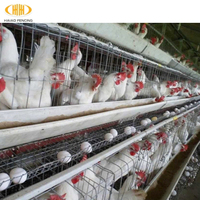 Multi-Tiers Chicken Poultry Farm Battery Chicken Layer Cage Sale for Pakistan Farm
