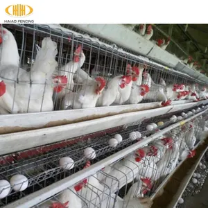 Đa-tiers gà nuôi gia cầm trang trại pin gà hai lớp lồng bán cho pakistan trang trại