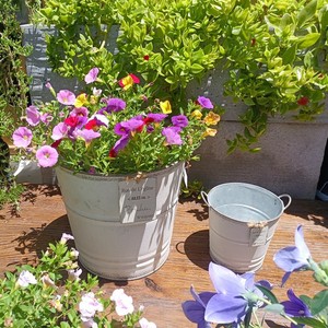 La Fábrica Tiene <span class=keywords><strong>en</strong></span> Stock: Artesanías Metálicas, Cubos <span class=keywords><strong>de</strong></span> Hojalata para Patio <span class=keywords><strong>de</strong></span> Villa, Decoraciones para Jardín Francés y Balcón, Macetas - Product Image 4