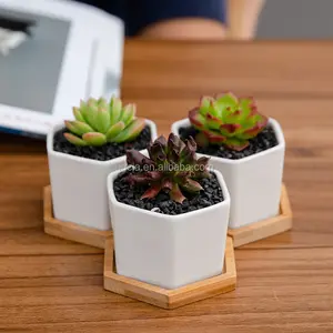 Nieuwe Witte Creatieve Succulent Bloem Bamboe Lade Met Zakka Potplanten Romeinse Stijl Bloempot