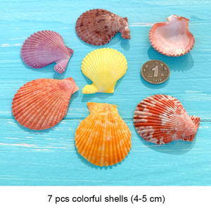 Mezcla de Conchas Marinas Pequeñas, Lote de Conchas Marinas Diminutas, Decoración para Bodas en la Playa, Conchas Marinas para Manualidades - Product Image 4