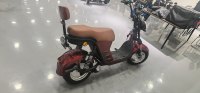 Venta al por Mayor de Fábrica - Motocicleta Eléctrica de 1000W/1500W, Impermeable, Personalizable, con Freno de Disco y Pedal de Correa, la Más Vendida