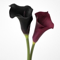 Kualitas tinggi sentuhan asli PU buatan bunga Calla Lily putih untuk meja natal bagian pusat pesta pernikahan Dekorasi Rumah