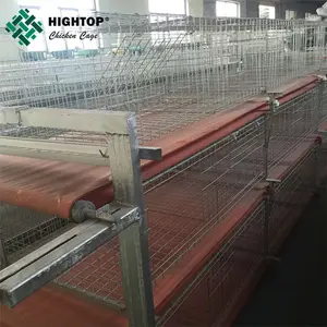 Diseño avicultura Broiler batería jaula de pollo a la venta