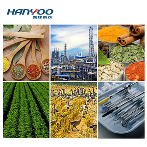 Horno de secado de circulación de aire caliente vegetal industrial multifuncional Hanyoo mejor precio - Product Image 2
