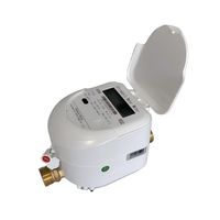 Compteur d'eau ultrasonique en laiton avec GPRS Lora, double canal, R100-R500, protection IP68, personnalisable OEM