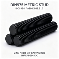 DIN975 ISO898-1 ASME B18.31.2 Metric Threaded Rod, Zinc & Hot Dip Galvanized Full Thread Stud for Industrial Fastening