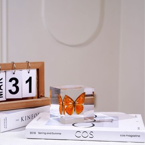 Adorno de Mariposa Acrílica de 8 cm, Rectangular, Decoración Moderna para el Hogar, Regalo - Product Image 1