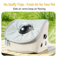 Sac de transport pour petauhers avec fenêtre transparente, sac de voyage portable en PU pour petits animaux, capacité 2 kg, à porter à l'épaule et en bandoulière