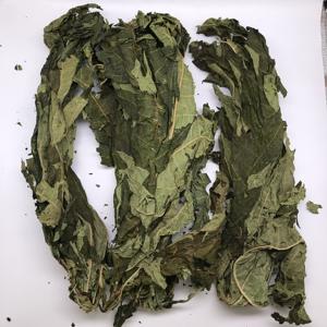 5075 <span class=keywords><strong>Mu</strong></span> <span class=keywords><strong>Gua</strong></span> Ye Atacado Ervas Tradicionais Chinesas Folhas de Papaia Secas Naturais Chá de Folhas de Papaia Natural - Product Image 1