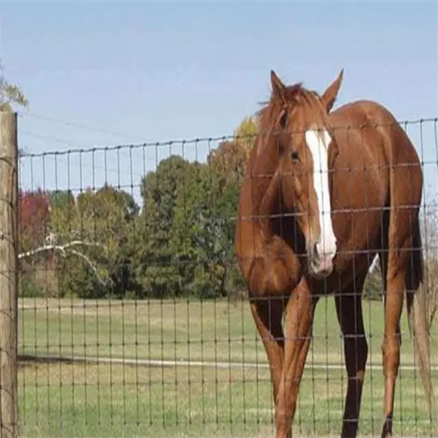 Veld span Farm Filed Fence Ganado Ovejas Ciervos Farm Fence Warp-around pradera valla tejido red