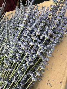 Ramo de Lavanda Seca Premium al por Mayor, Lavanda Aromática Seca al Aire Natural y Ecológica, 100g/Paquete, Aroma para el Hogar, Aromaterapia, Floristerías - Product Image 2