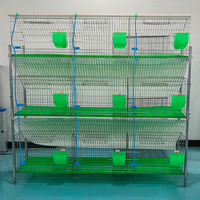 Cage à lapins galvanisée à chaud, ensemble de cages à lapins, cage à lapins à 3 niveaux, 9 trous, cage d'élevage pour lapins