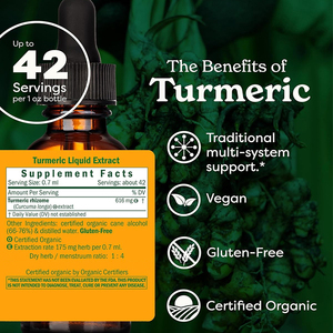 Oem nhãn hiệu riêng chứng nhận hữu cơ NGHỆ CURCUMIN chiết xuất chất lỏng giọt thảo dược bổ sung cho hệ thống cơ xương người lớn - Product Image 3