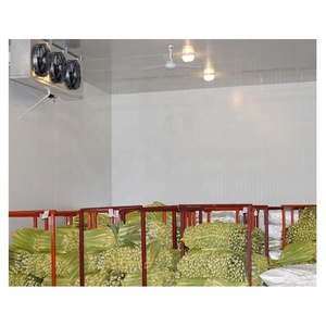 Nhà Máy Trực Tiếp Giá Di Động Container Đi Bộ Trong Mát Lạnh Phòng Lưu Trữ Với Điều Khiển Kỹ Thuật Số Và Công Suất Cao Động Cơ - Product Image 1