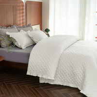 Ensemble de couvre-lit matelassé 3 pièces en polyester matelassé à l'échelle ultrasonique, housse de couette et drap, textile de maison pour toutes les saisons