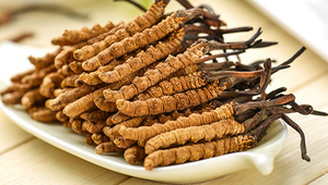 Amostra grátis <span class=keywords><strong>cordyceps</strong></span> <span class=keywords><strong>sinensis</strong></span> extrato <span class=keywords><strong>cordyceps</strong></span> <span class=keywords><strong>sinensis</strong></span> cogumelo - Product Image 3