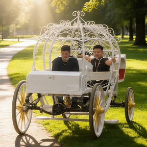 Asientos para Vehículo Eléctrico 2025, Regalo, Personalizados, para 2 Personas, Estilo Carruaje Real Europeo - Product Image 3