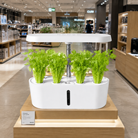 Système de culture hydroponique, kit de jardinage d'intérieur, système de minuterie automatique intelligent pour l'approvisionnement en herbes fraîches pour les restaurants