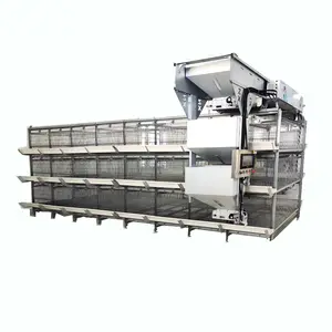 Automatic Feeding H Type Chick cage egg laying hen cage battery layer chicken cage Factory Sale