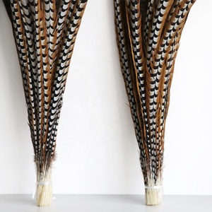 Nhà Sản Xuất 10-200Cm Giá Rẻ Lớn Tự Nhiên Reeves Gà lôi Đuôi Lông Cho Lễ Hội - Product Image 3