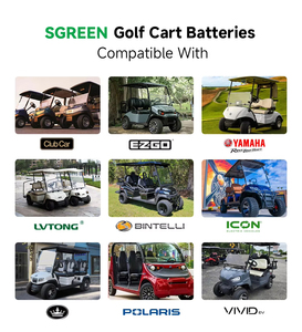 Batería de iones de litio de 48V 51.2V 100Ah 105Ah para carrito de golf y vehículos de turismo - Product Image 4