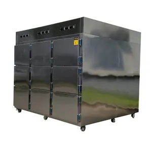 安全な制御システムを備えた高品質の9ドア死体冷蔵庫