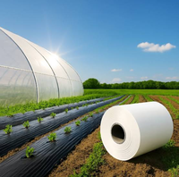 Film polyéthylène haute transmission et durable pour serres agricoles modernes et durables