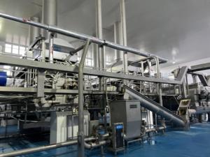 Équipement de déshydratation automatique de flocons de pommes de terre à <span class=keywords><strong>gelatine</strong></span> stable pour l'usine de fabrication de collations - Product Image 5