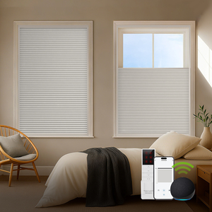 Persianas Inteligentes Motorizadas ZSTARR para Claraboyas, Tipo Panal, Compatibles con WiFi, Alexa y Google, Alimentadas por Panel Solar, para Ventanas Inclinadas - Product Image 1