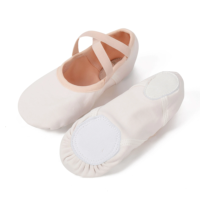 Chaussures de danse de ballet en toile extensible à semelle fendue pour adultes et filles, avec logo personnalisé, vente en gros 2025
