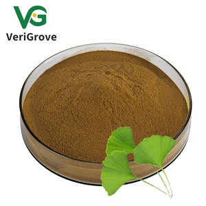 100% tinh khiết tự nhiên <span class=keywords><strong>Ginkgo</strong></span> <span class=keywords><strong>Biloba</strong></span> chiết xuất bột màu xanh lá cây <span class=keywords><strong>Ginkgo</strong></span> <span class=keywords><strong>Biloba</strong></span> lá chiết xuất - Product Image 2