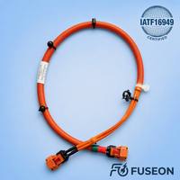 Kabel Sambungan Baterai Lug Tembaga Arus Tinggi Kustom dengan Isolasi PBT/Karet/PTFE IP67 untuk OEM Elektronik Otomotif