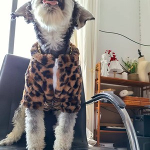 Beautiful Pet Leopard Print Cotton Coat Winter <b>Clothes</b> For <b>Cats</b> And Dogs Comfortable Leisure Wear - Product Image 2