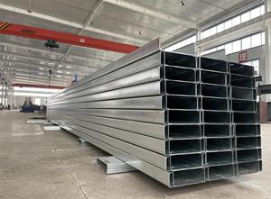 Profili a C Zincati a Caldo e ad Alta Resistenza per Supporto Strutturale di Coperture - Product Image 3