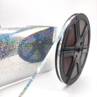 Paillettes Hot Fix pour machine à paillettes pour vêtement T-shirt chaussures logo décorer 2mm 3mm 4mm 5mm 6mm taille couleur H101 holo argent