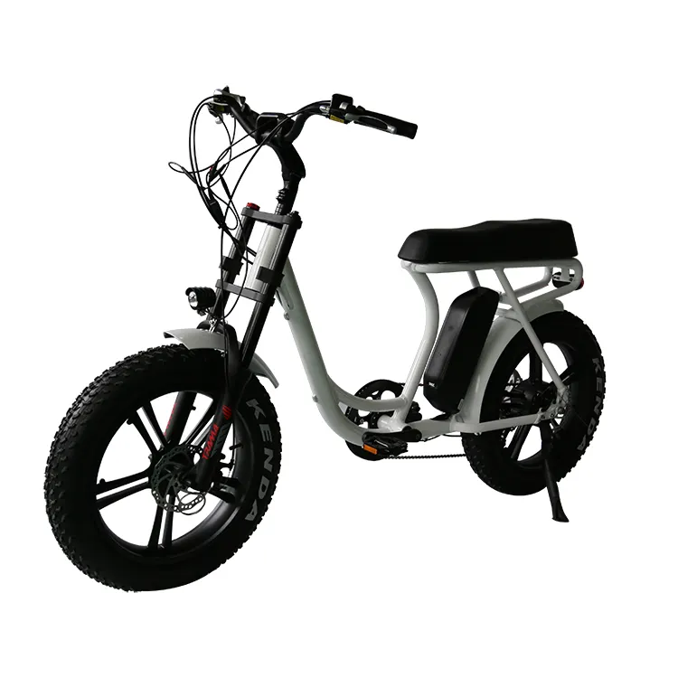Долгом сидении 48V 13Ah, фара для электровелосипеда в 2-Местный Электрический велосипед 750W бесколлекторный мотор для электрического велосипеда с 7 ускоряющая передача и дисковый тормоз