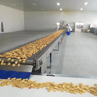 Nastro Trasportatore in Rete Metallica in Acciaio Inossidabile per Alimenti, Conforme agli Standard Igienici per le Industrie di Snack e Pasticceria