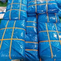 Bâche bleue enduite de PE pour la couverture de camion avec traité UV