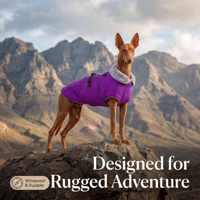 Veste imperméable pour chien en polyester et coton, doublée de polaire épaisse, couleur unie, manteau chaud d'hiver pour chiens, vente en gros