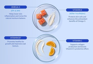 OEM ODM Golosinas Blandas para Perros con Alto Contenido de Proteínas para la Salud de la Piel y el Pelaje, Ácidos Grasos OMEGA, Probióticos, Apoyo Inmunológico, 2.5G/unidad, Todas las Razas, Todas las Edades - Product Image 2