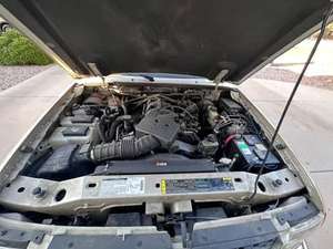 <span class=keywords><strong>Camioneta</strong></span> Ford <span class=keywords><strong>Ranger</strong></span> XLT SuperCab de <span class=keywords><strong>Doble</strong></span> <span class=keywords><strong>Cabina</strong></span> USADA - Product Image 2