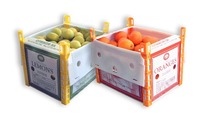 Caisse en plastique ondulé PP réutilisable, pliable et empilable, résistante à l'humidité, pour fruits et légumes, pour ferme et entrepôt