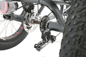 Elyx ES004 Food Delivery 36V12.5Ah Vélo cargo électrique de livraison Tricycle pour adulte - Product Image 6