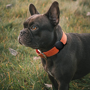 Rsh Chất lượng cao tùy chỉnh mềm bảo vệ Vật nuôi cổ áo chủ không thấm nước chống mất thông minh tag Bìa Silicone trường hợp cho airtag - Product Image 5