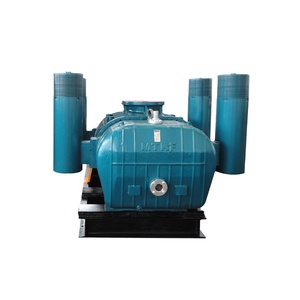 Bomba de Vacío Roots para Envasado al Vacío de Alimentos, Diseño Compacto, Bajo Mantenimiento, Construcción Sanitaria para Procesamiento de Alimentos - Product Image 5