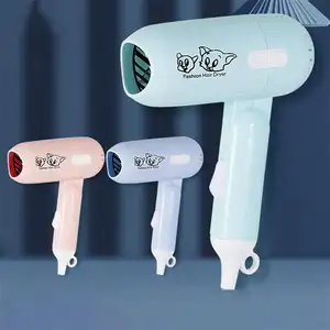 Best Price Household Hair, Dryer Hot Selling Hair Drier 1000w Ionic function/