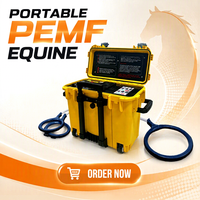 Appareil PEMF équin avec plusieurs applicateurs, équipement de thérapie portable pour chevaux, pour les soins vétérinaires et équins